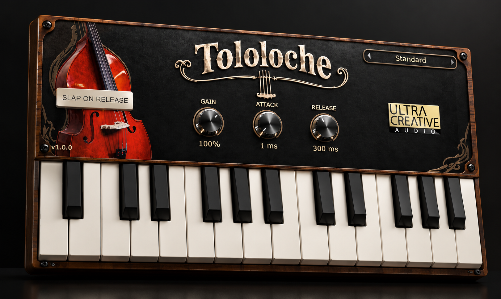 Tololoche VST3 Plugin